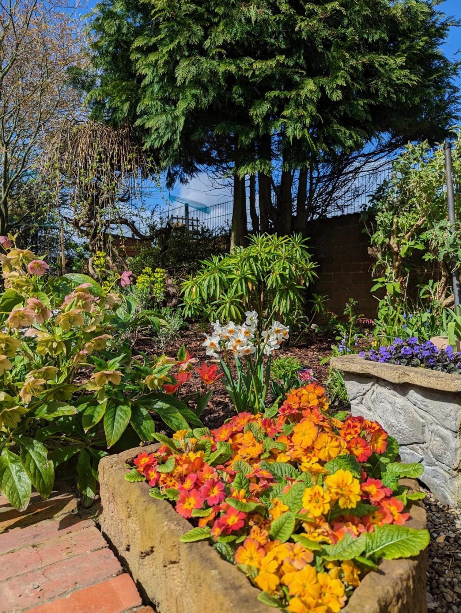 Bed and Breakfast Number 18 Whitby Exteriér fotografie