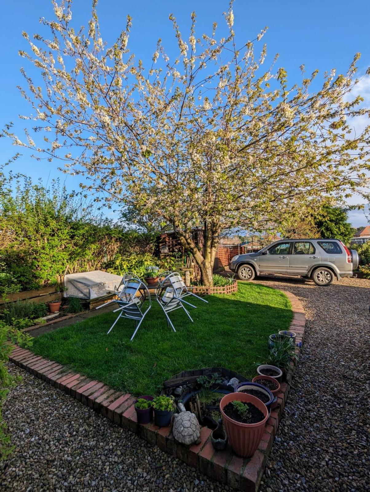 Bed and Breakfast Number 18 Whitby Exteriér fotografie